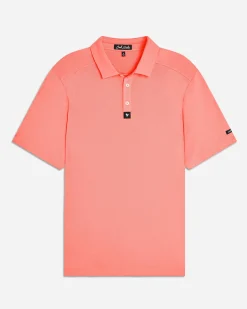 Shell Pink
